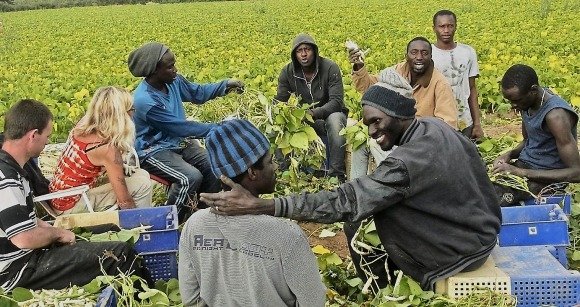 recrutement d'ouvriers agricoles Espagne - baos.sec.gouv.sn